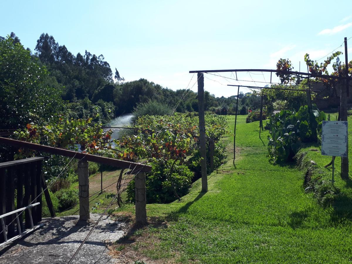 Dream Corner By Waterfalls, 20 Min To Oporto, By Porto With Love Lda Parada  Buitenkant foto